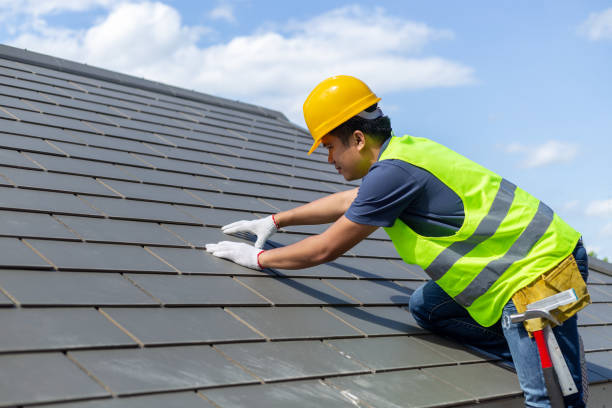 Best Storm Damage Roof Repair  in Plum Grove, TX